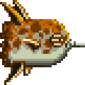 fish03.gif