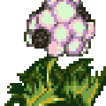 plant02.gif