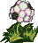 plant02.gif