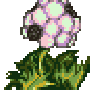 plant02.gif