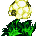 plant04.gif