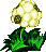 plant04.gif