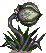 plant06.gif