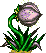 plant07.gif